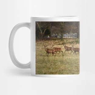 Deer in the Highlands Mug